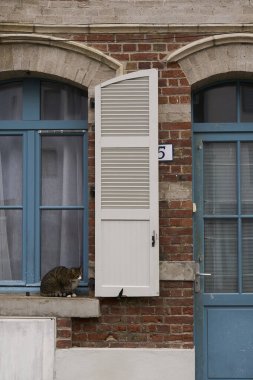 Sıcak bir şehir sahnesinde, pencerenin yanında kırsal tuğla bir duvara karşı panjurları olan sevimli bir kedi dinleniyor.