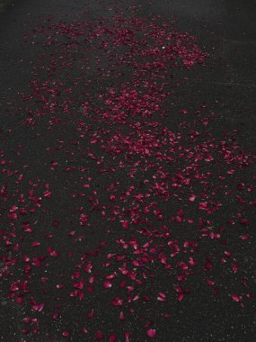 Canlı ve canlı kırmızı gül yaprakları zarif bir şekilde koyu dokulu bir yüzeye saçılmış romantik bir atmosfer yaratıyor.