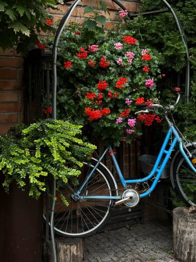 Canlı ve renkli çiçeklerle süslenmiş güzel ve resimsi bir mavi bisiklet, huzurlu bir bahçe düzenini güçlendiriyor.
