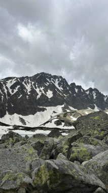 Dramatik dağ manzarası, karla kaplı zirveleri karamsar, atmosferik bir gökyüzü altında zarifçe sergiliyor.