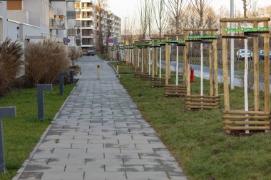 Wroclaw, Poland- 23 Aralık 2024: koruyucu ahşap çerçeveli modern bir iskan kaldırımı boyunca yeni dikilmiş ağaçlar. Çevresel sürdürülebilirlik ve şehir planlaması