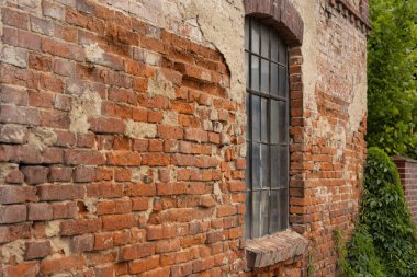 Kırsal bir pencere çerçevesi olan eski bir binanın yıpranmış kırmızı tuğla duvarı ve sarmaşıklar ve yapraklarla çevrili kabuk soyma bantları, eski ve endüstriyel bir estetiği çağrıştırıyor.
