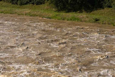 Powerful churning water near the riverbank with a strong current caused by heavy rainfall. The turbulent muddy water flows rapidly, creating intense waves demonstrating the force of nature clipart