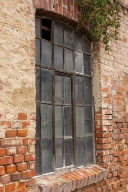 Eski, yıpranmış ahşap pencereye yakın plan. Kırık camlar, sürünen bitkilerle çevrili eski bir kırmızı tuğla duvarda. Kentsel bozulma, kırsal cazibe ve mimari tarih