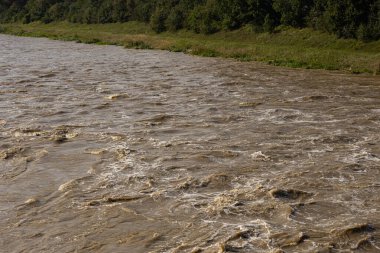 Fast-flowing muddy river with turbulent water caused by heavy rainfall passing through green forested riverbank on a sunny day. Flooding, extreme weather, natural disaster and water dynamics clipart