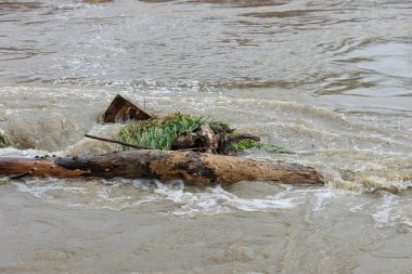 Çalkantılı suyla çevrili, sağanak yağıştan sonra güçlü bir nehir akıntısı tarafından taşınan tahta enkaz ve kütükler. Doğanın gücü, sel felaketi ve nehir akışı