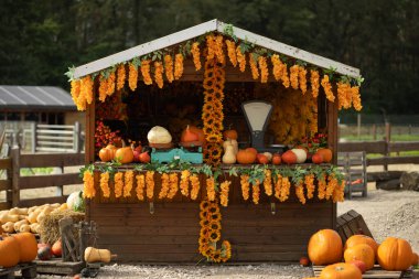 Rustic autumn farm stand with pumpkins and gourds on display, decorated with vibrant orange flowers and vintage weighing scale. Harvest season, traditional farming and rural lifestyle clipart