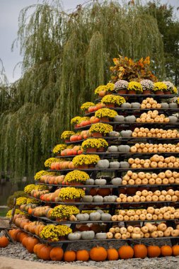 Renkli balkabakları, kabakları ve sarı çiçekleri söğüt ağaçlarının yakınındaki katlarda sergilenen dekoratif sonbahar gösterisi. Mevsimlik hasat, sonbahar süsleri ve doğal güzellik kavramı