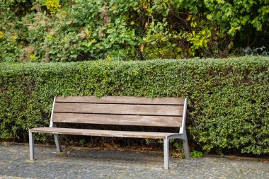 Güneşli bir günde huzurlu parkta yeşil çitlerin yanında metal çerçeveli boş ahşap bir bank. Rahatlama, açık hava oturma ve doğa kavramı