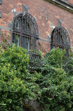 Historical brick building facade with iron window bars covered in ivy on a sunny autumn day. Concept of urban architecture, natural greenery, and heritage preservation clipart