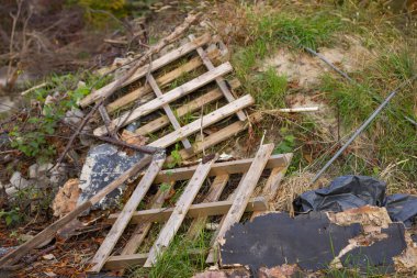Çöpe atılmış ahşap paletler ve aşırı büyümüş çimenler ve doğadaki kumlu arazi. Çevre kirliliği, atık imhası ve açık alanlarda atılan malzemeler kavramı