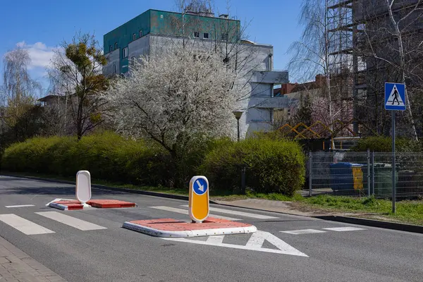 Yeni boyanmış yaya geçidi olan şehir yolu ve yerleşim alanındaki bahar çiçekleri altında geçici trafik işaretleri. Şehir güvenliği, altyapı iyileştirmesi ve yaya farkındalığı
