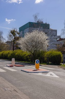 Taze yol işaretleri, trafik adaları ve yerleşim bölgelerinde ilkbaharda çiçek açan ağaçlarla dolu şehir sokakları. Yol güvenliği, şehir planlaması ve şehir altyapısı