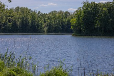 Sakin gölü, yeşil orman ağaçları ve güneşli bir günde mavi gökyüzü olan güzel bir yaz manzarası. Çevre turizmi, huzurlu doğa kaçamağı, dinlendirici açık hava tatili ve sürdürülebilir seyahat tarzı