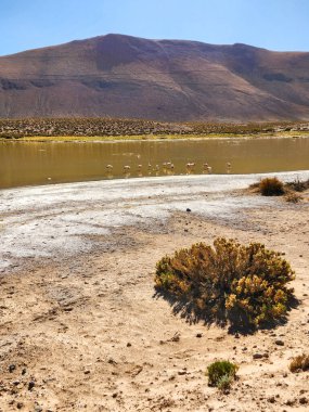 Şili, Atakama Çölü 'nün çarpıcı manzaraları