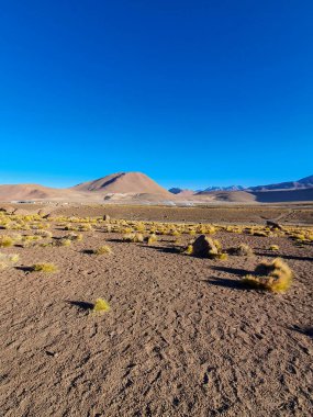 Şili, Atakama Çölü 'nün çarpıcı manzaraları