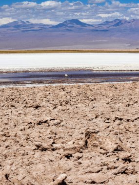 Stunning Landscapes of the Atacama Desert, Chile clipart