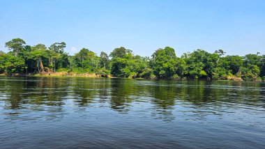 Üst Durak: Amazon, Brezilya