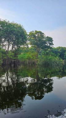 Üst Durak: Amazon, Brezilya