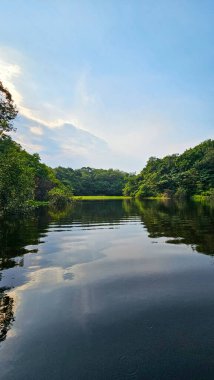 Üst Durak: Amazon, Brezilya