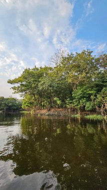 Üst Durak: Amazon, Brezilya