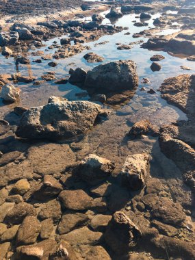 Sakin bir kıyı şeridi boyunca dağılmış kayalar arasında küçük gelgit havuzları oluşur. Güneş ışığı su altındaki taşları ortaya çıkarıyor ve sığ su da gökyüzünün yumuşak tonunu yansıtıyor. Güzelliklerle dolu huzurlu bir sahil manzarası yaratıyor.