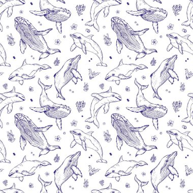 Balinalar ve yunuslarda kusursuz bir desen var. İşleme tekniğinde deniz hayvanları, mürekkeple serbest çizim. Beyaz arka plan. Duvar kağıdı, tekstil, kumaş, ambalaj kağıdı için kullanılabilir.