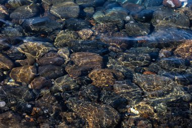 Bu yakın çekim, yukarıdan aşağı fotoğraf yüzeyin altında düz ve koyu renkli kayalar olan sığ bir su kütlesi yakalıyor. Güneş ışığı suda kırılır ve kayalarda karmaşık altın desenler ve yansımalar yaratır. Doğal ışıklandırma.