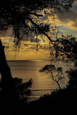 Silhouette of trees framing a golden sunset over a calm sea, Vouliagmeni Athens 