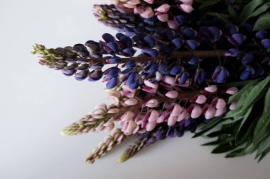 Beyaz arka planda güzel bahar çiçekleri