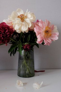 Vazoda pembe ve beyaz şakayıklar.