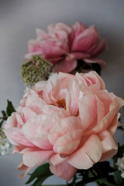 Bir buket pembe şakayığa yakın..