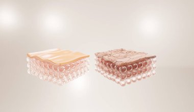 Deri tabakasını onarmadan önce ve sonra. Konsept kozmetik çözüm. 3d oluşturma. 
