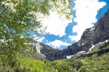 waterfall landscape amongst green trees and snowy mountains in Telluride, Colorado clipart