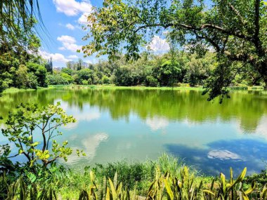 Parlak mavi bir gökyüzünün altında, sudaki bulutların ve ağaçların berrak yansımalarıyla dolu sakin bir göl, huzurlu ve doğal bir ortam yaratıyor..