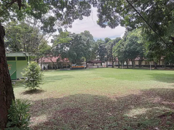 Ağaçları ve binaları olan Yeşil Açık Alan