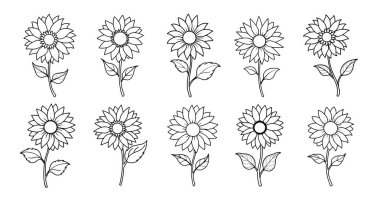 Ayçiçeği İllüstrasyon Vektör Hattı Sanat Ayarları. Zarif tasarımlar için en az ayçiçeği vektör sanatı paketi.