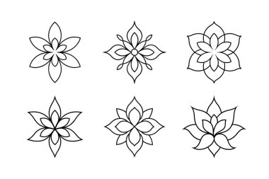 Çiçek ve yapraklar. Çiçek vektör illüstrasyonu