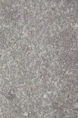 Yosun ve yosunlu gri beton duvar dokusu