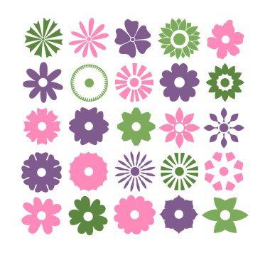 Dekoratif çiçek elementleri seti