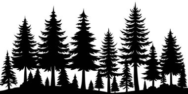 siyah ağaçlarının silhouettes