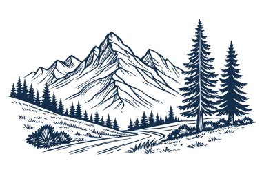 Orman manzarası Dağlar ve çam ağaçları