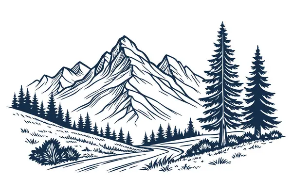 Orman manzarası Dağlar ve çam ağaçları
