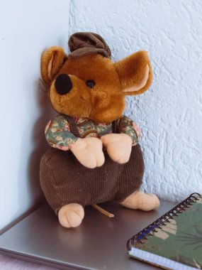 Oyuncak ile sevimli bir köpeğin yakın plan fotoğrafı.