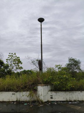 Yol kenarındaki sokak lambası direği. Abajur direği metalden yapılmıştır ve tepesinde yuvarlak siyah bir abajur vardır. Etrafında bitkiler ve çalılar büyüyen beton bir duvarın üzerinde duruyor.