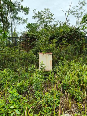 Yoğun bir ormanın ortasında küçük beyaz bir kutu. Kutu eski ve yıpranmış görünüyor. Yüzeyinde boya ve pas var. Uzun yeşil bitkiler ve ağaçlarla çevrili ve arka planda siyah bir çit var..