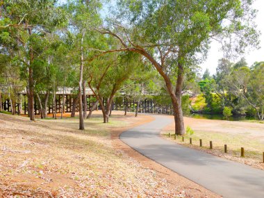Batı Avustralya, Bridgetown 'da nehir boyunca uzanan parkta yürüyüş. Kurak mevsim.