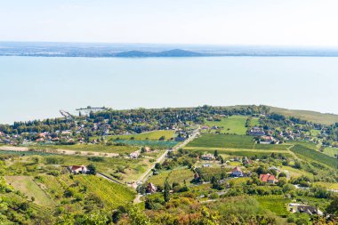 Badacsony Hill 'den, Balaton Gölü' ne bakan resim gibi bir üzüm bağı manzarası.