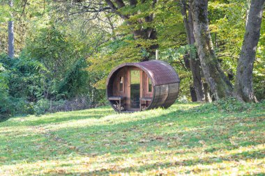 Sonbahar güneşinde yeşil bir ormanın kenarındaki açık kahverengi sauna binası.