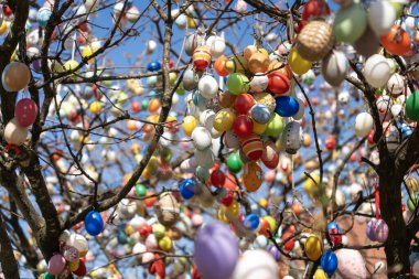 Renkli Yumurta Dekorasyonlu Paskalya Ağacı